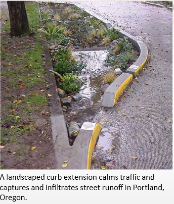 landscaped-curb-extension.png