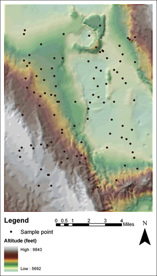 original-terrain-surface-with-sample-points.png