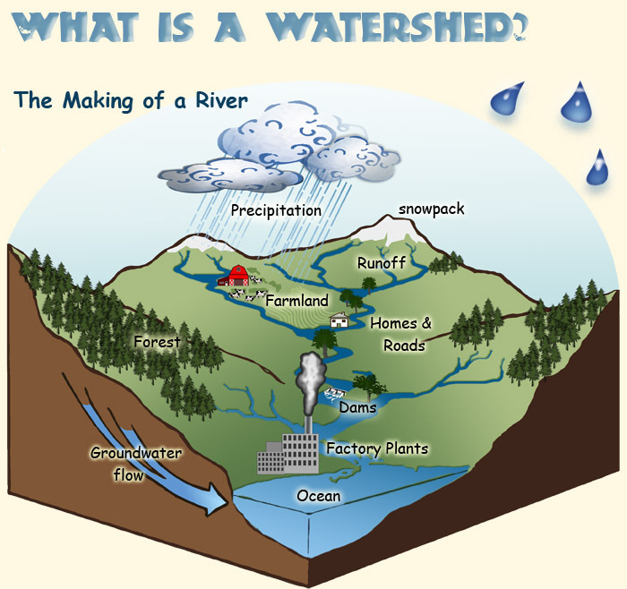 watershed.jpg