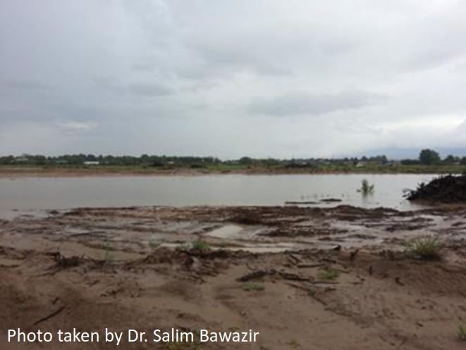 flooded-area-in-sunland-park-nm.png