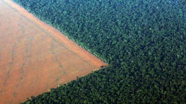 reforestation-vs-deforestation.png