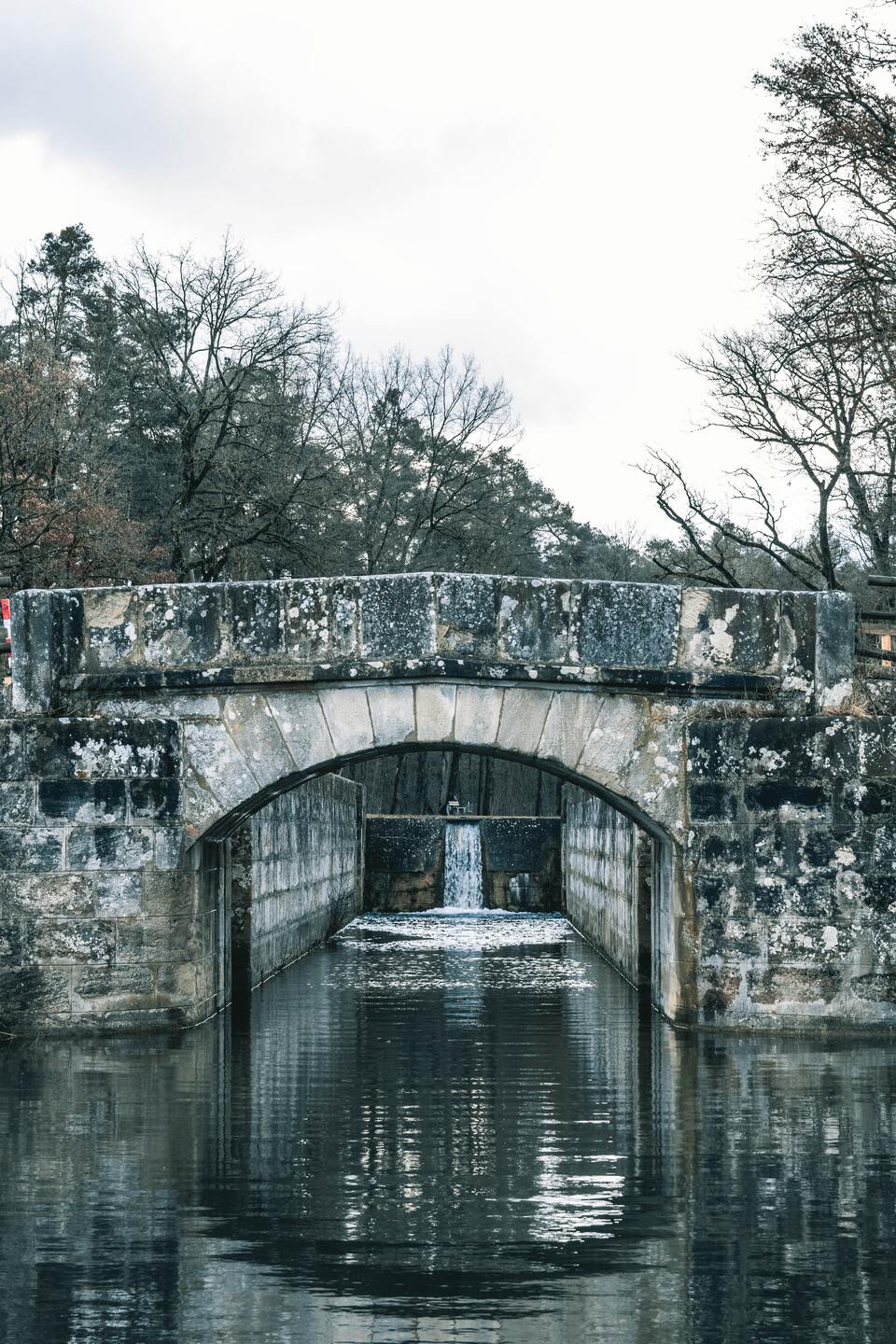 timo-c-dinger-pnI9dFzEc38-unsplash.jpg timo-c-dinger-pnI9dFzEc38-unsplash.jpg