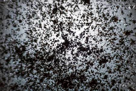 soot-particles.png soot-particles.png