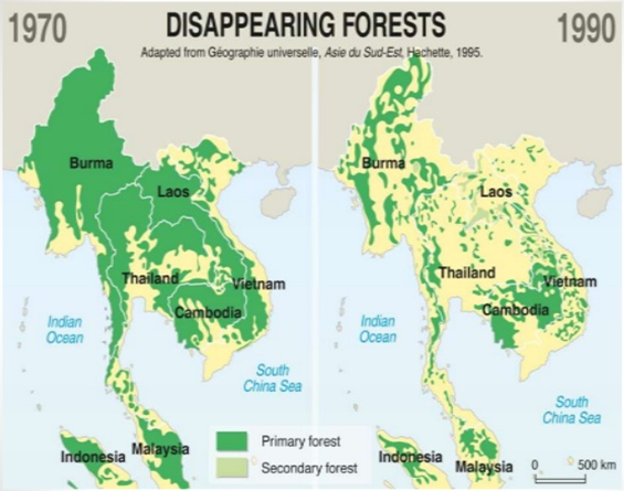 disappearing-forests.png disappearing-forests.png
